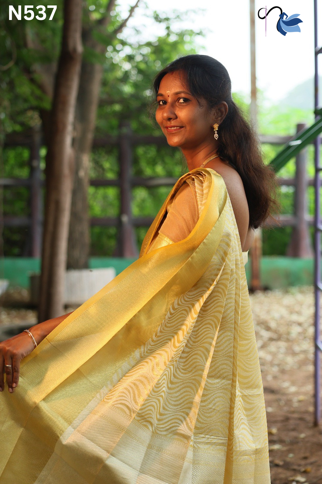 Banarasi Tissue silk saree
