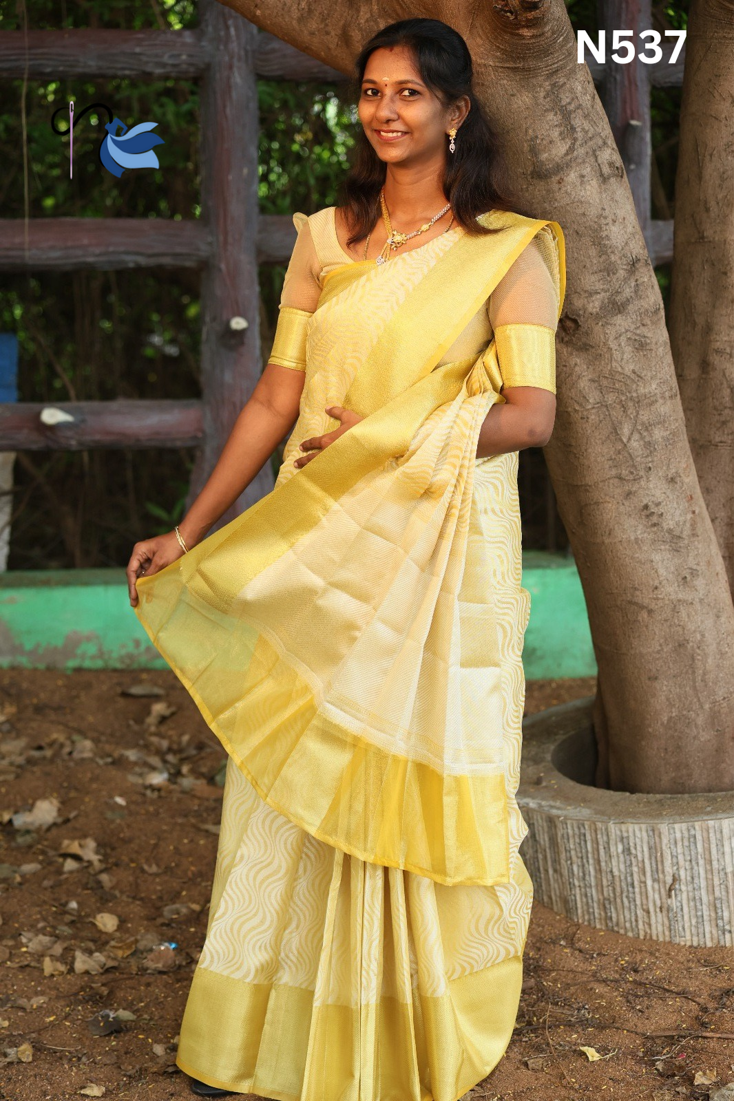 Banarasi Tissue silk saree