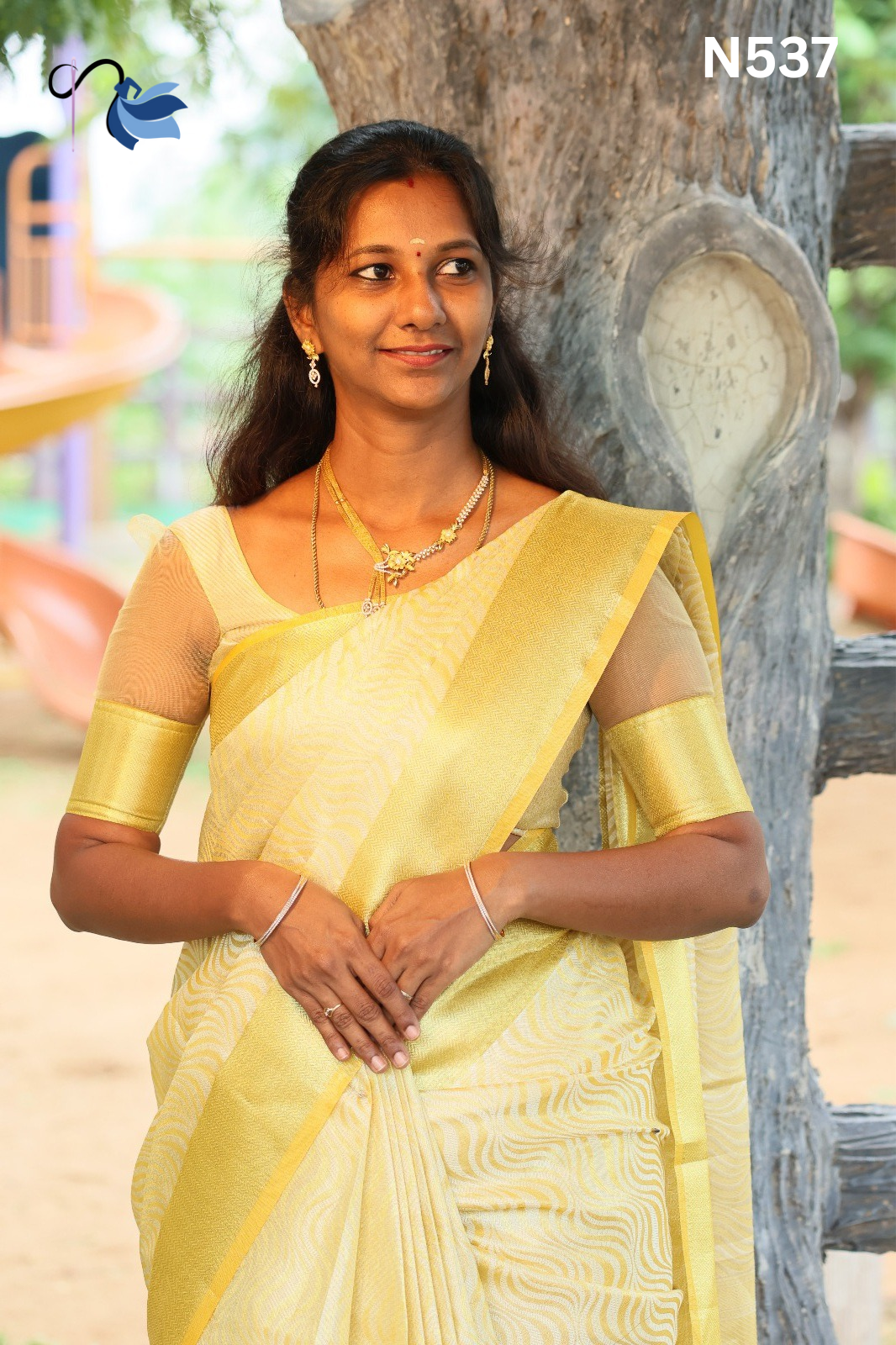 Banarasi Tissue silk saree